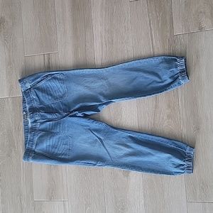 Torrid size 2 denim jogger jeans